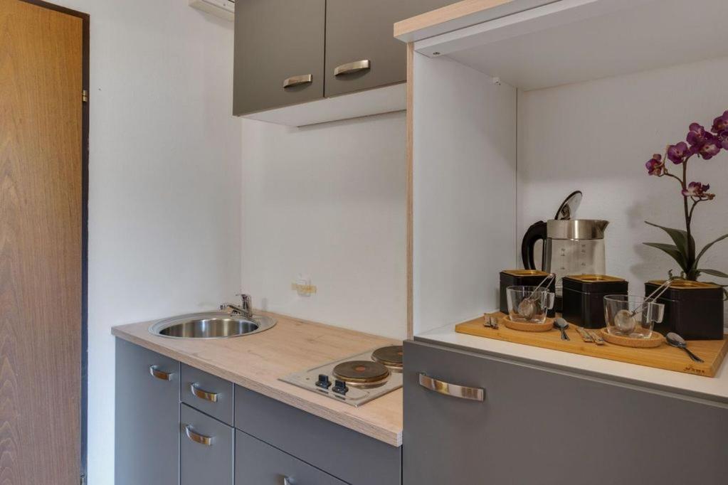 Apartment Noemi バート・ゴイーザーン エクステリア 写真